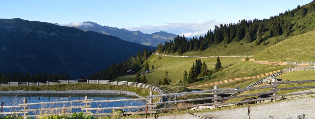 Detaillierte Infos zur Unterkunft Hotel Larchhof