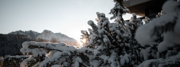 Detaillierte Infos zur Unterkunft Green luxury hotel Pfösl