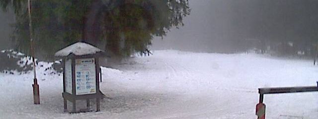 Tief verschneit präsentiert sich derzeit das Skigebiet Schwarzer Mann bei Prüm, wie auf dem Webcambild zu sehen ist.