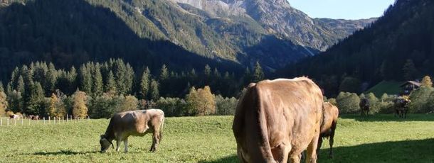 General information about your stay at Haus Walliser-Stube