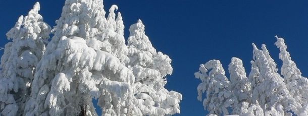 The snow conditions here are excellent.