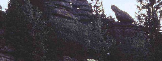 General information about your stay at Haus Bayerwald