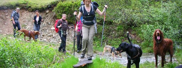 Wandern mit Hunden
