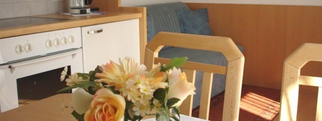 General information about your stay at Appartement Hollaus