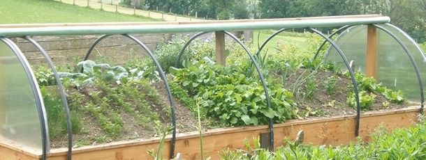 Unser Kräutergarten