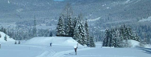 General information about your stay at Ferienhaus JOEL