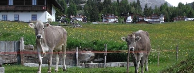 General information about your stay at Häuslerhof