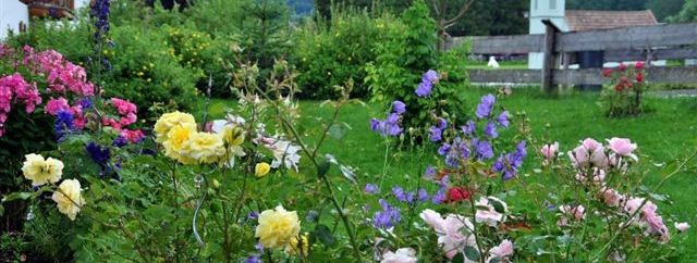 General information about your stay at Haus Andrea