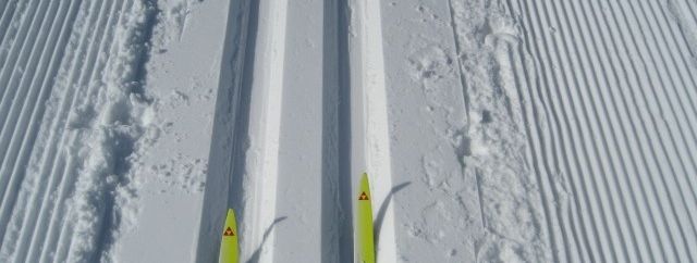 General information about your stay at Haus Janßen-Wehrle