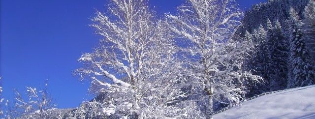 Detaillierte Infos zur Unterkunft Haus Robi