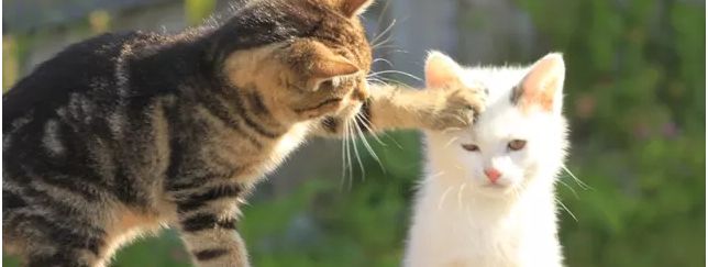 Detaillierte Infos zur Unterkunft Rücklhof