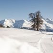 Winterwandern Moosalp