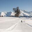 Langlauf und Winterwandern Moosalp