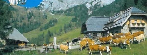 General information about your stay at Appartement Sonja Nassfeld