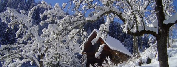 General information about your stay at Bauernhof-und Hüttenurlaub Familie Mandl