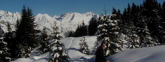 General information about your stay at Ahnenhöfl