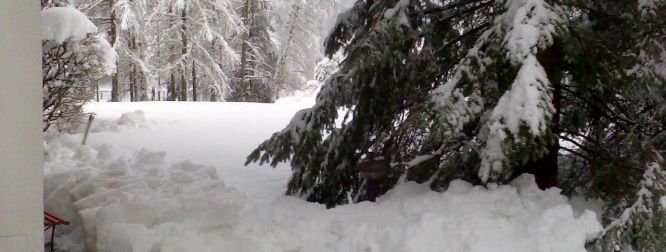 General information about your stay at Appartements Erlebnispark