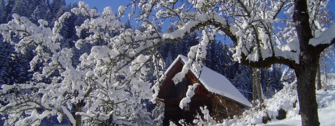 General information about your stay at Bauernhof-und Hüttenurlaub Familie Mandl