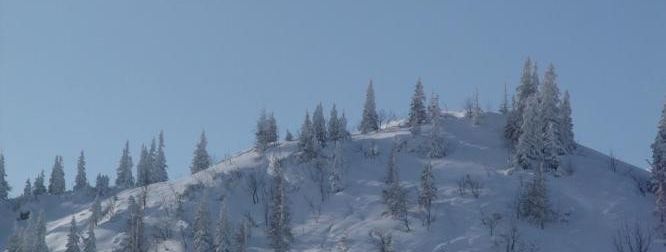 General information about your stay at Sinsamreith