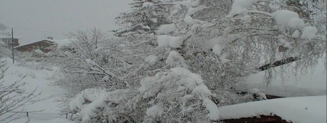 General information about your stay at Silvana