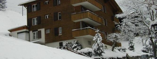 Detaillierte Infos zur Unterkunft Chalet Steinbock