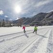 Information on Cross-Country Skiing at Bodental