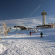 Information about the ski resort Willingen