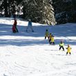 Information about the ski resort SchneeSelital