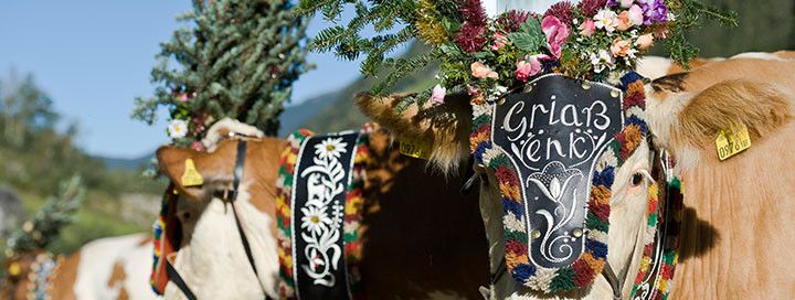 General information about your stay at Hotel Garni Nill