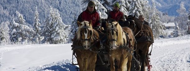Pferdekutschenfahrt am Weissensee