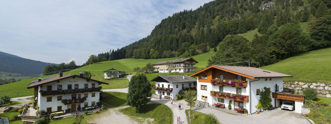 Ferienhof Auerhof im Sommer