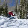 Treeskiing am Aspen Mountain