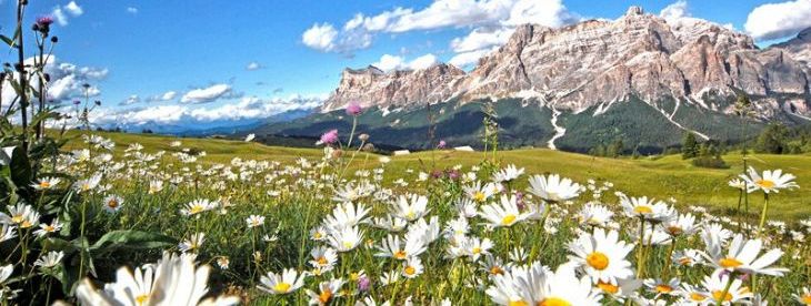 General information about your stay at Brunella