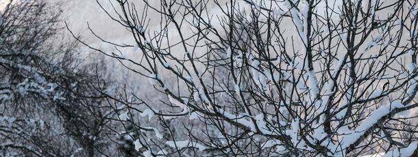 Detaillierte Infos zur Unterkunft Familienbauernhof Göttfriedbauer