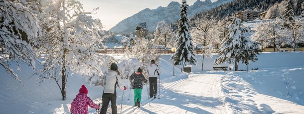 Information on Cross-Country Skiing at Andalo - Paganella