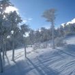 Chapelco sits below the tree line within an old forest that offers mellow tree skiing, which is great fun with the right snow conditions!