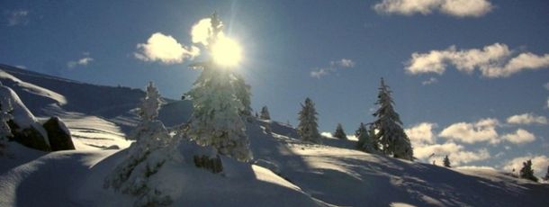 Detaillierte Infos zur Unterkunft Ferienwohnung Lachmayer