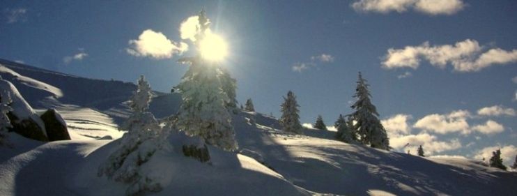 General information about your stay at Pension Lachmayer