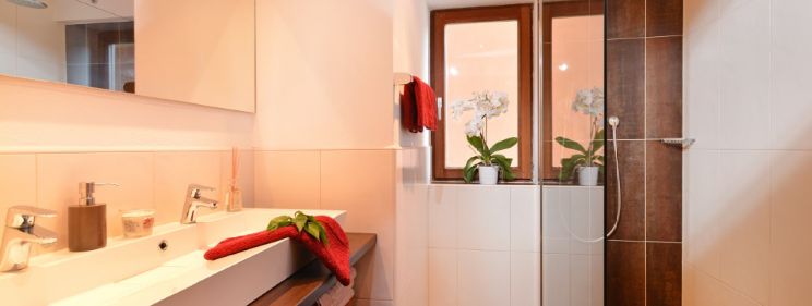 Detaillierte Infos zur Unterkunft Ferienhaus Schwaiger