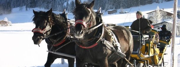 Romantische Pferdekutschfahrten durch St. Martin
