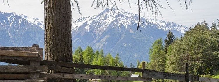 Detaillierte Infos zur Unterkunft Landhaus Charlotte