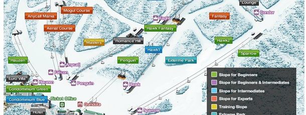 Information about the ski resort Phoenix Park