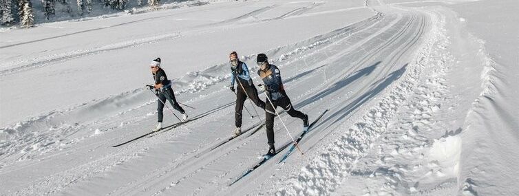 Detaillierte Infos zur Unterkunft Panoramahotel Watles
