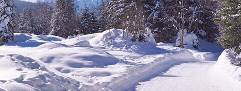 Präparierte Wanderwege führen durch die verschneite Landschaft des Gasteinertals.