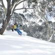 Mt Hotham offers great backcountry skiing and boarding with many of the trails being tree lined.