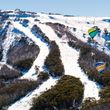 Information about the ski resort Mt Buller