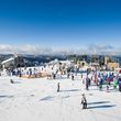 Information about the ski resort Mt Buller