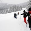 Auf Schneeschuhen durchs winterliche Voralpenland