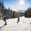 Information about the ski resort Feldberg