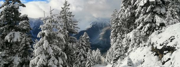 General information about your stay at Haus Lenz